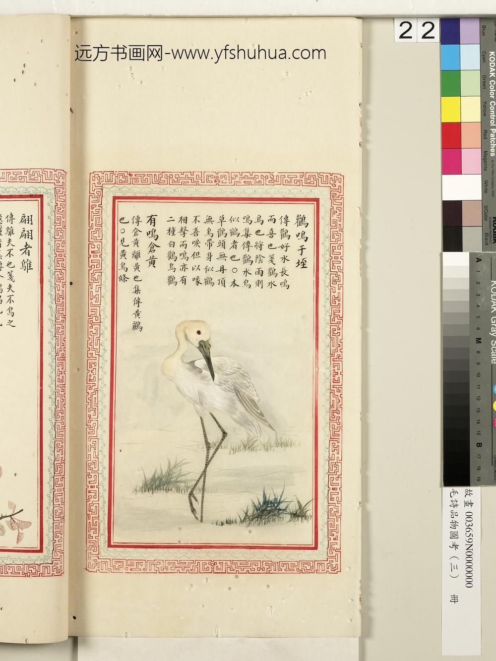 毛诗品物图考（三）册-鹳鸣于垤有鸣仓黄-