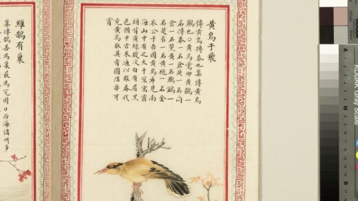 毛诗品物图考（三）册 黄鸟于飞 2.jpg