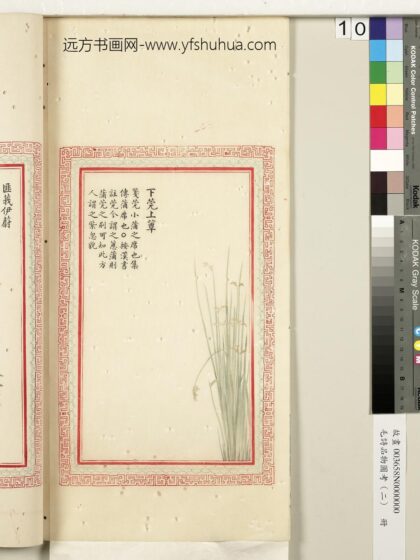 毛诗品物图考（二）册 下莞上簟 2.jpg