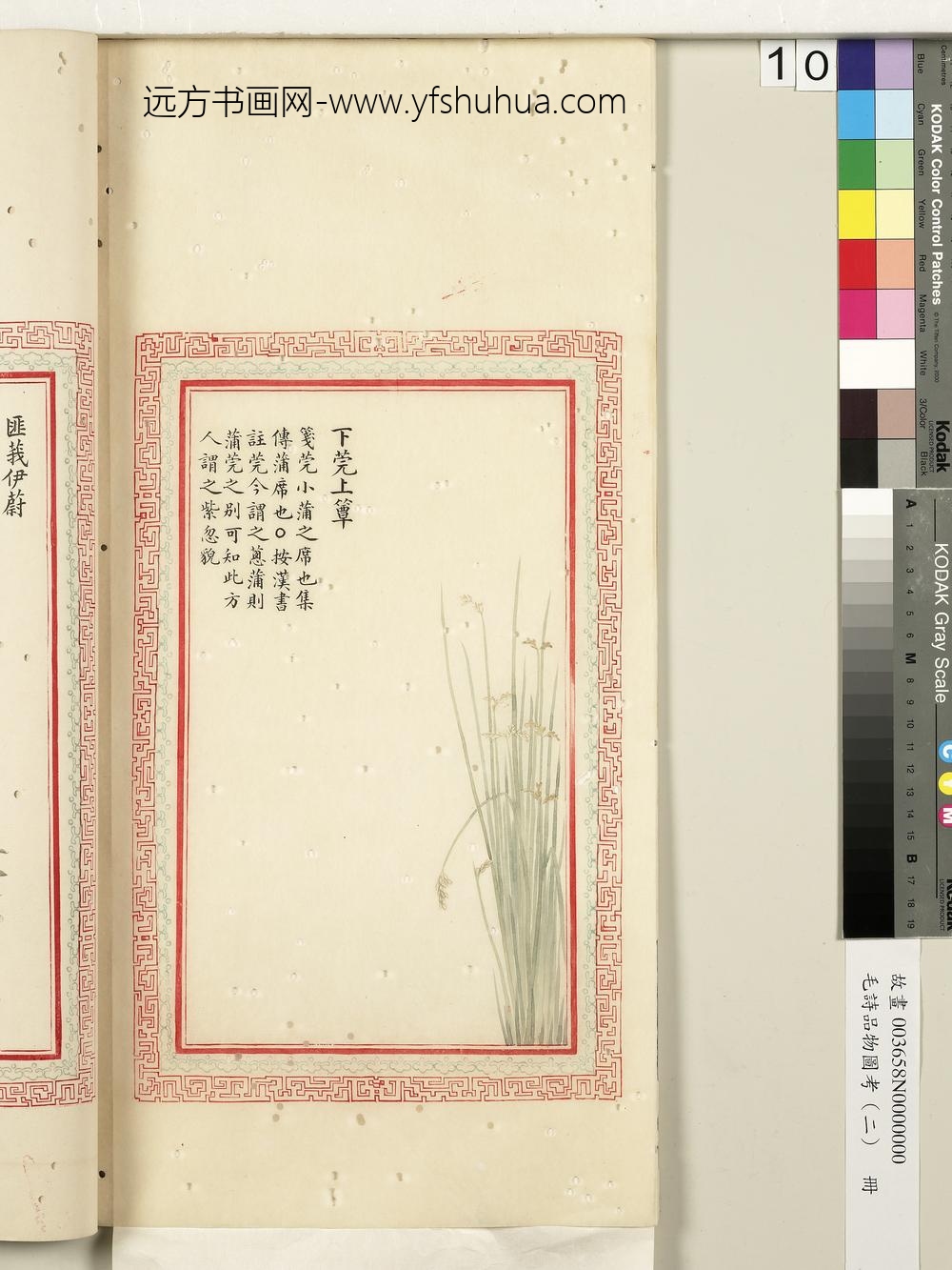 毛诗品物图考（二）册-下莞上簟-