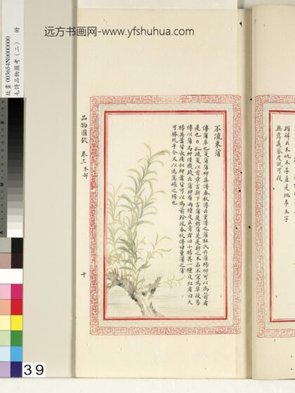 毛诗品物图考（二）册 不流束蒲 1.jpg