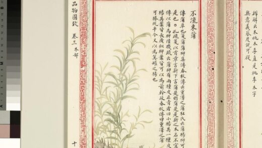 毛诗品物图考（二）册 不流束蒲 1.jpg