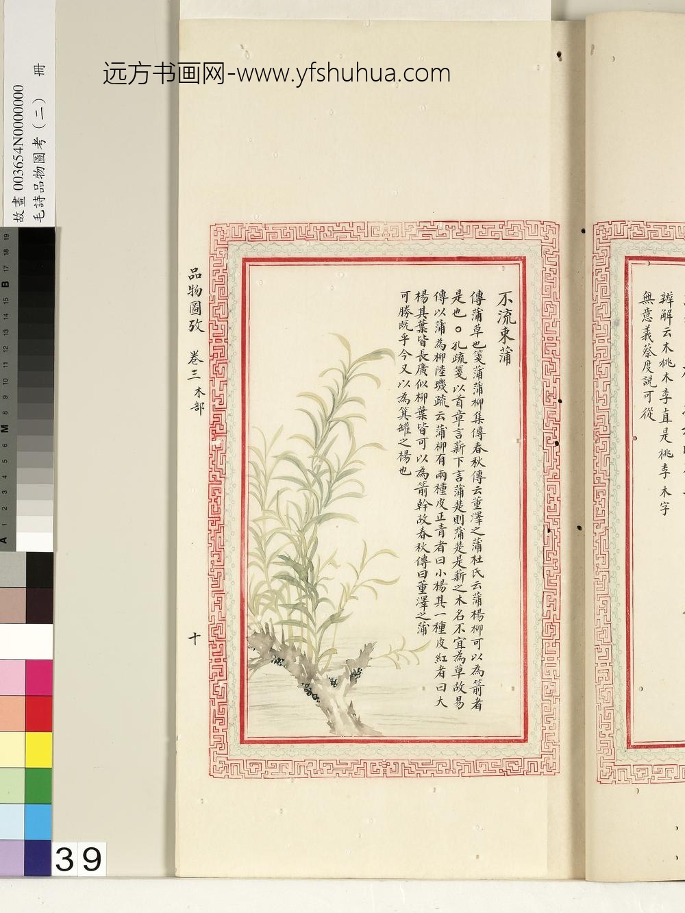 毛诗品物图考（二）册-不流束蒲-