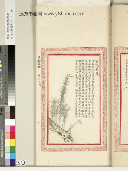 毛诗品物图考（二）册 不流束蒲 2.jpg