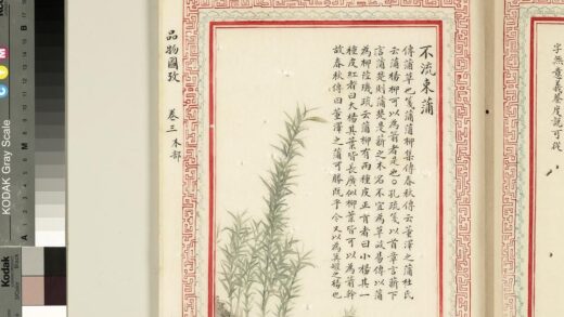 毛诗品物图考（二）册 不流束蒲 2.jpg