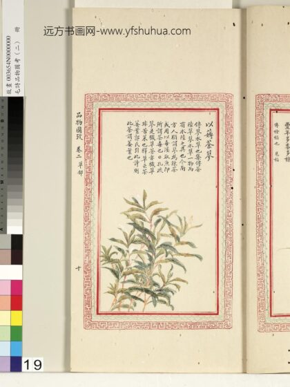 毛诗品物图考（二）册 以薅荼蓼 1.jpg