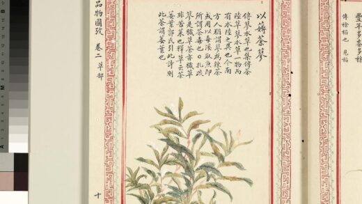 毛诗品物图考（二）册 以薅荼蓼 1.jpg