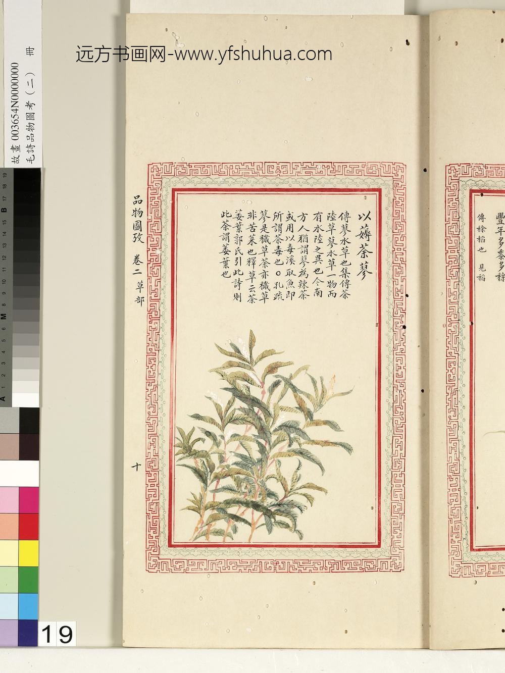 毛诗品物图考（二）册-以薅荼蓼-