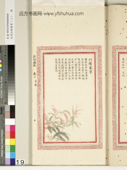 毛诗品物图考（二）册 以薅荼蓼 2.jpg