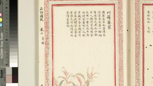 毛诗品物图考（二）册 以薅荼蓼 2.jpg