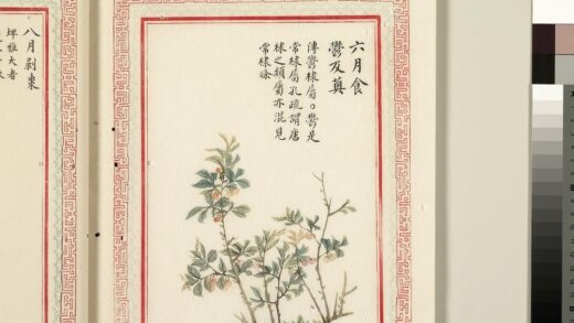 毛诗品物图考（二）册 六月食郁及薁 1.jpg