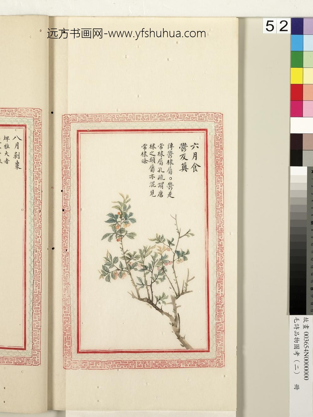 毛诗品物图考（二）册-六月食郁及薁-