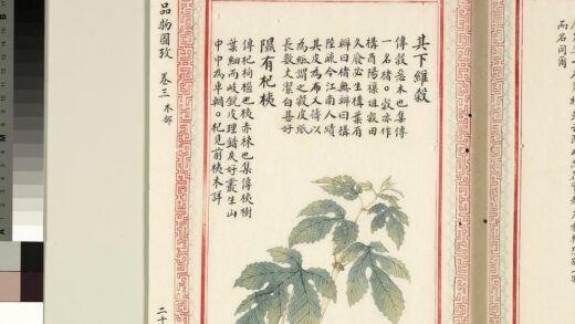 毛诗品物图考（二）册 其下维谷隰有杞桋 1.jpg