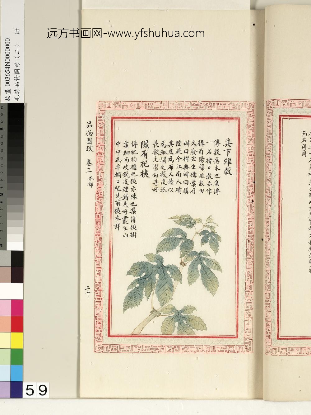 毛诗品物图考（二）册-其下维谷隰有杞桋-