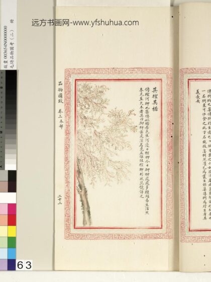 毛诗品物图考（二）册 其柽其椐 1.jpg