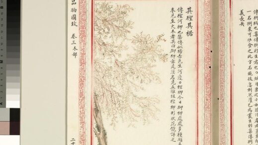 毛诗品物图考（二）册 其柽其椐 1.jpg