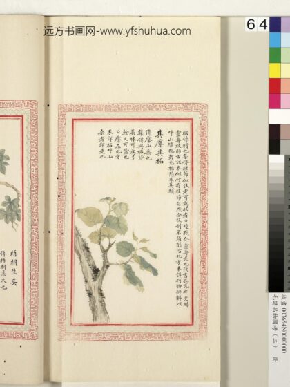 毛诗品物图考（二）册 其檿其柘 1.jpg