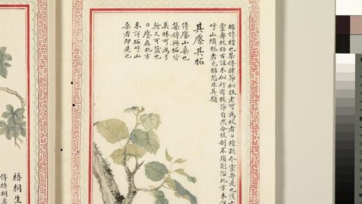 毛诗品物图考（二）册 其檿其柘 1.jpg