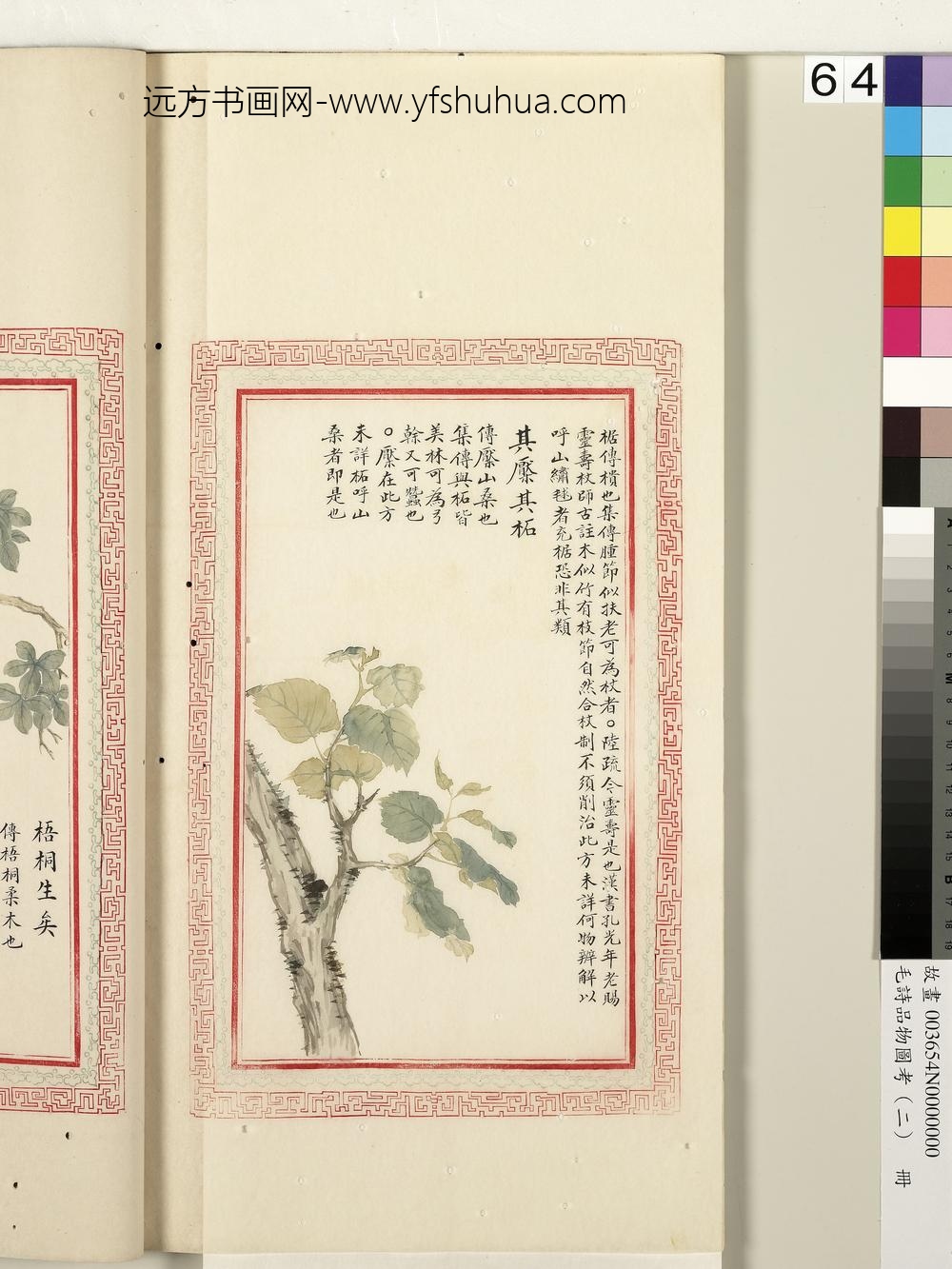 毛诗品物图考（二）册-其檿其柘-
