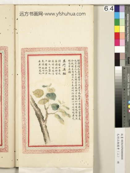 毛诗品物图考（二）册 其檿其柘 2.jpg