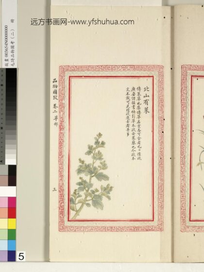 毛诗品物图考（二）册 北山有莱 1.jpg