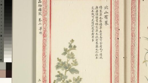 毛诗品物图考（二）册 北山有莱 1.jpg