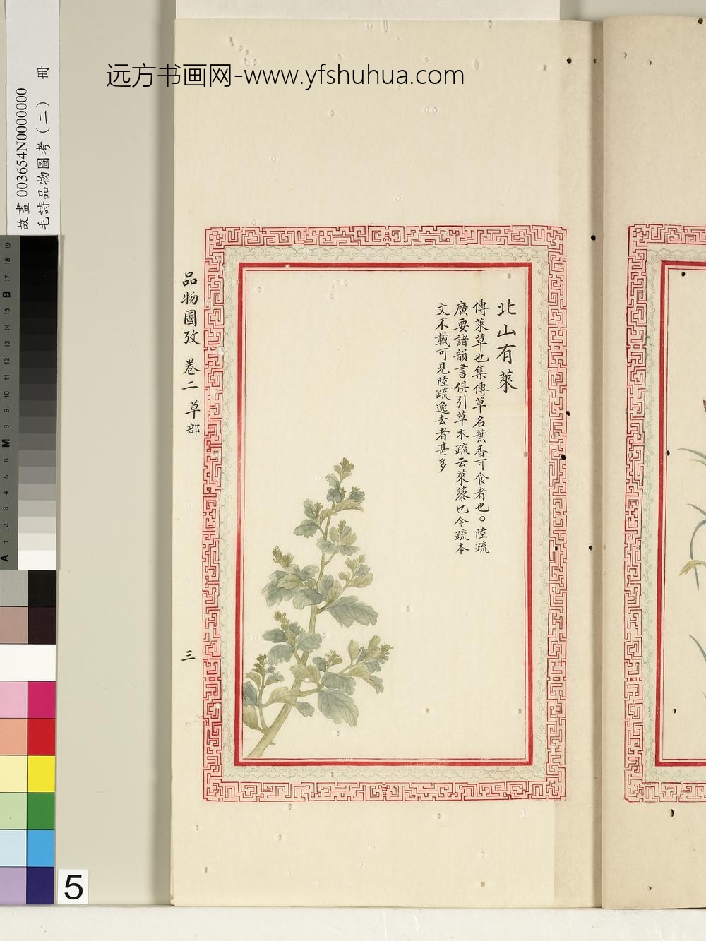 毛诗品物图考（二）册-北山有莱-