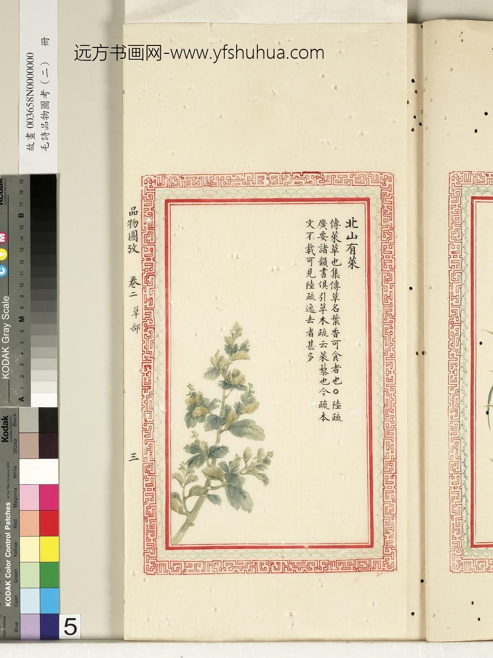 毛诗品物图考（二）册-北山有莱-