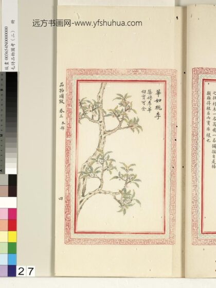 毛诗品物图考（二）册 华如桃李 1.jpg