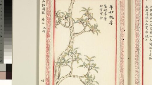 毛诗品物图考（二）册 华如桃李 1.jpg