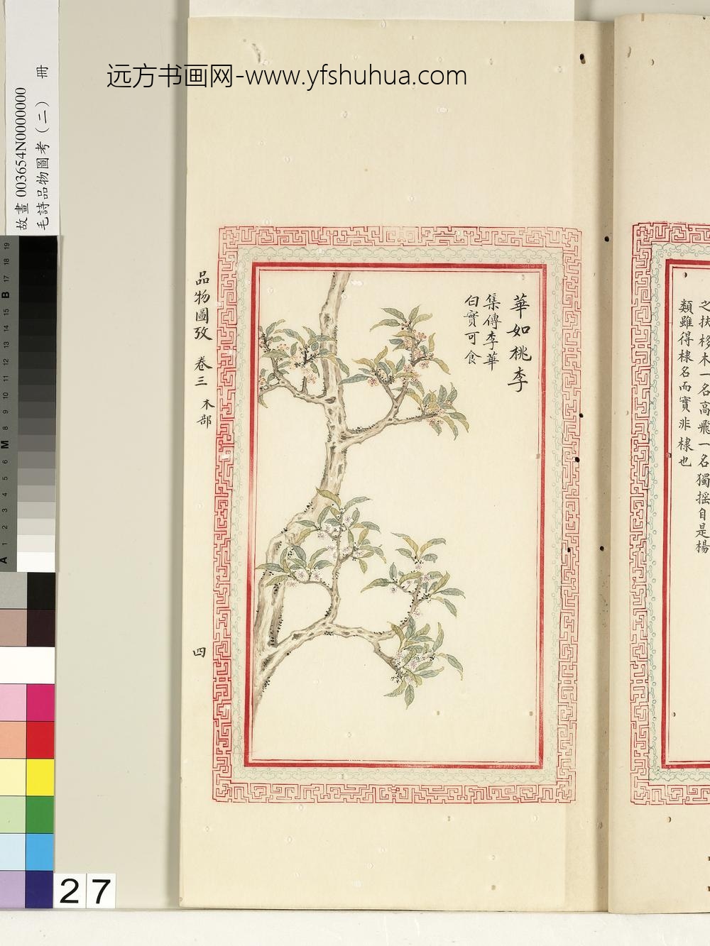 毛诗品物图考（二）册-华如桃李-