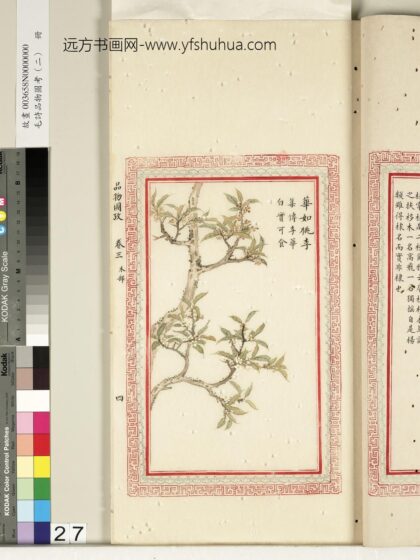 毛诗品物图考（二）册 华如桃李 2.jpg