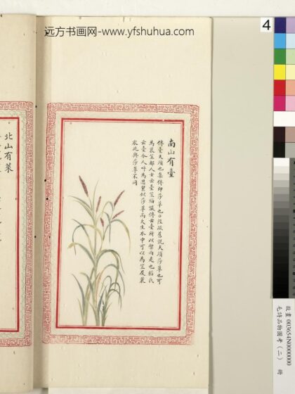 毛诗品物图考（二）册 南山有台 1.jpg