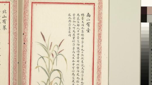 毛诗品物图考（二）册 南山有台 1.jpg