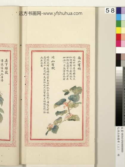 毛诗品物图考（二）册 南山有枸北山有楰 1.jpg