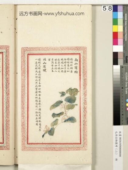 毛诗品物图考（二）册 南山有枸北山有楰 2.jpg