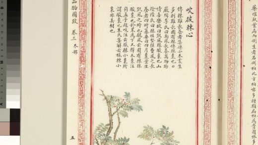 毛诗品物图考（二）册 吹彼棘心 1.jpg