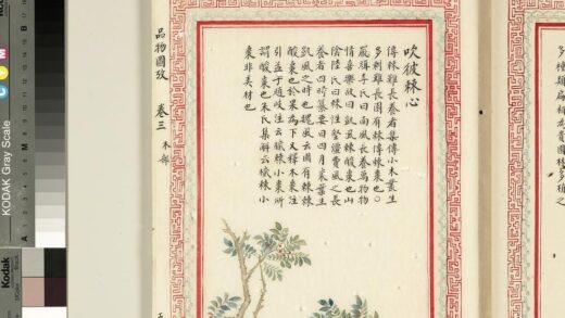 毛诗品物图考（二）册 吹彼棘心 2.jpg