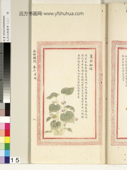 毛诗品物图考（二）册 堇荼如饴 1.jpg