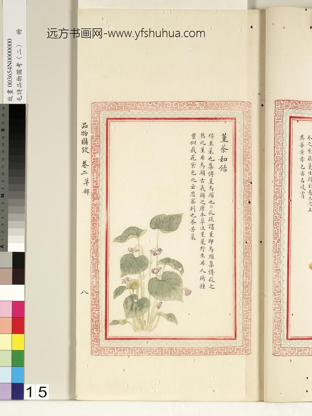 毛诗品物图考（二）册-堇荼如饴-