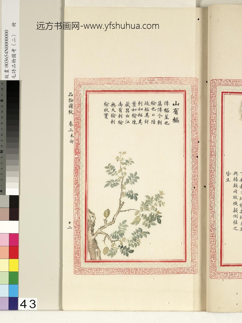 毛诗品物图考（二）册-山有枢-