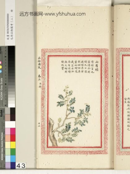 毛诗品物图考（二）册 山有枢 2.jpg