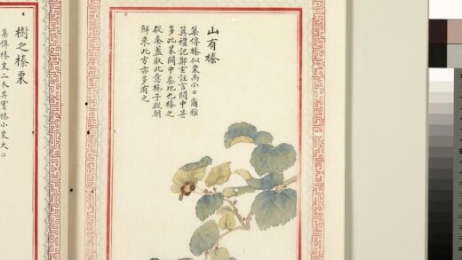 毛诗品物图考（二）册 山有榛 1.jpg