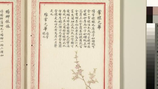 毛诗品物图考（二）册 常棣之华维常之华 1.jpg