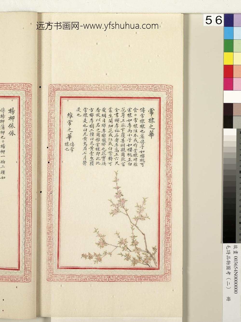 毛诗品物图考（二）册-常棣之华维常之华-