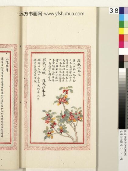 毛诗品物图考（二）册 投我以木瓜投我以木桃投我以木李 1.jpg