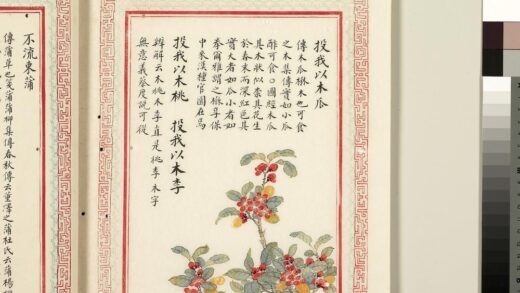 毛诗品物图考（二）册 投我以木瓜投我以木桃投我以木李 1.jpg