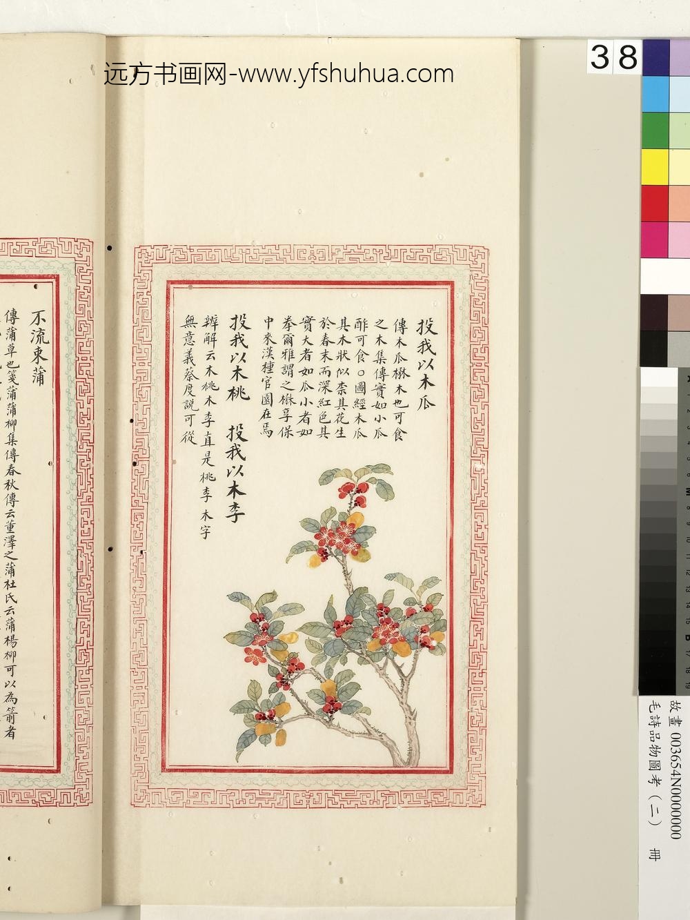 毛诗品物图考（二）册-投我以木瓜投我以木桃投我以木李-