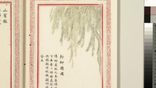 毛诗品物图考（二）册 折柳樊圃 1.jpg