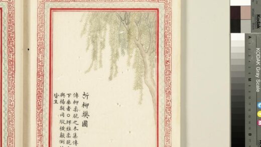 毛诗品物图考（二）册 折柳樊圃 2.jpg